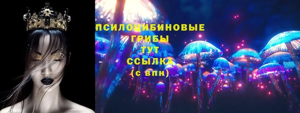бошки Медвежьегорск
