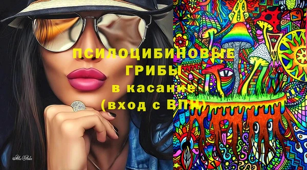 стаф Михайлов