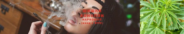 гидропоника Мегион