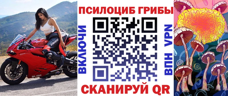 Псилоцибиновые грибы мицелий  как найти наркотики  Сусуман 